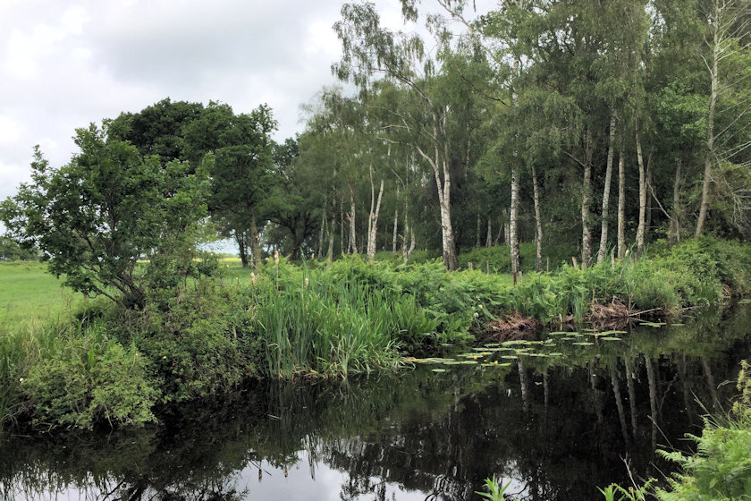 Nature Reserve photograph